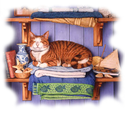 Gatto 11